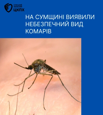 У Сумах виявлено новий вид комарів, який може переносити небезпечні захворювання