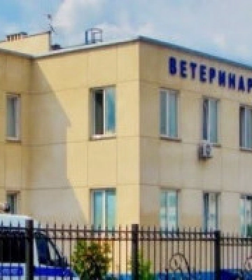 Кличко призначив нового директора Київської лікарні ветмедицини