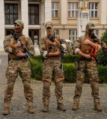 У Кінологічному центрі поліції Закарпаття навчатимуть собак-терапевтів