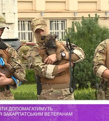 В Україні стартувала нова програма підтримки ветеранів війни за участю собак-терапевтів