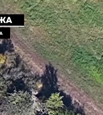 Вражескую «Рапиру» уничтожили пограничники на Купянском направлении (видео)