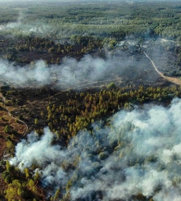 На Киевщине ликвидировали масштабное возгорание травы