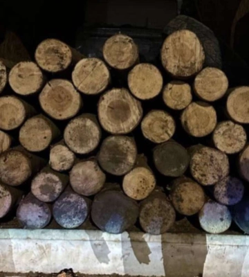 У Нижніх Воротах виявили водія, який незаконно перевозив деревину