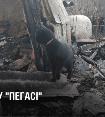 Пожежа у “ПЕГАСІ” знищила16 тонн корму. Без харчування можуть лишитися 800 тварин