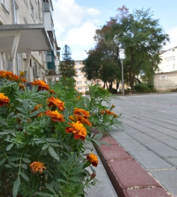 Мер перевірив, як у Луцьку ремонтують прибудинкові території