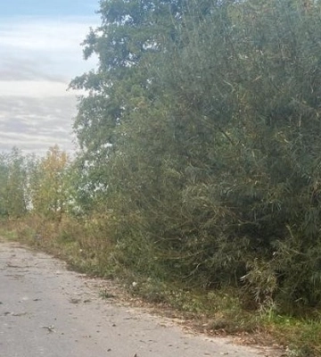 «Син говорить, що його тато не помер, а загинув, що він – Герой»: воїна з Волині посмертно нагородили медаллю