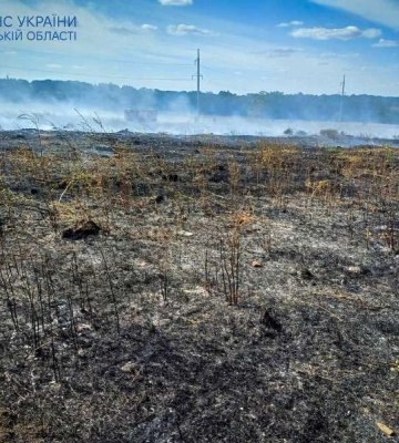 На Одещині покарали паліїв сухої рослинності