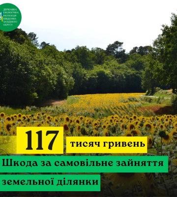 На Миколаївщині ділки засіяли соняшником лісові землі