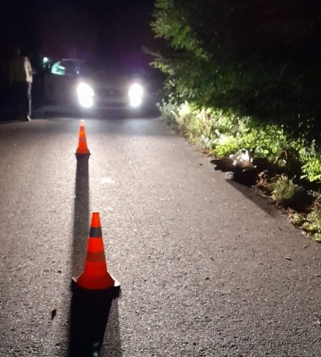 На Львівщині діти впали з підводи та травмувалися