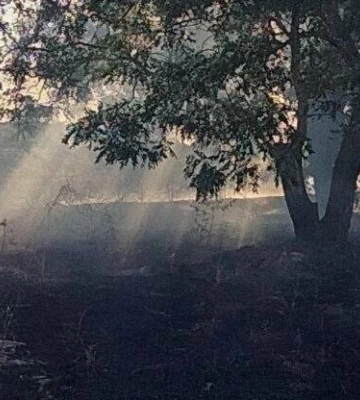 Пожежники тричі за добу виїжджали на загорання сухої трави в Одеській області
