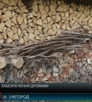 Дров вистачить! – запевняють закарпатські лісівники