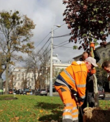У Львові акцію «Хочу посадити дерево» вже підтримали 48 містян