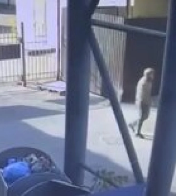 В Киеве два нардепа из СН избили парня, полиция передала производство в прокуратуру: видео