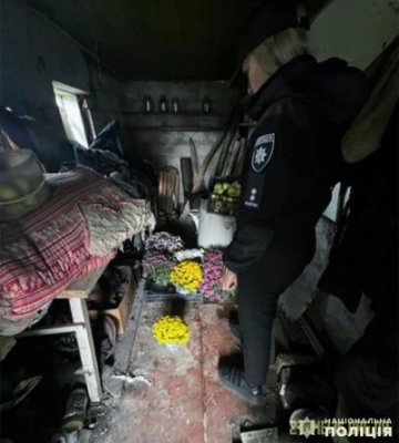 У Звягелі викрили жінку, яка крала квіти з могил військовослужбовців, робила букети та продавала