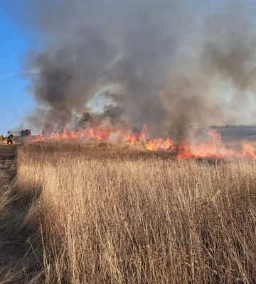 На Миколаївщині за добу зареєстровано 21 пожежу, одна з яких виникла в результаті ворожих обстрілів