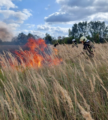 На Сумщині вогнеборці 5 разів ліквідовували загоряння на відкритих територіях