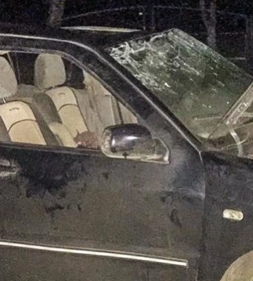 На Одещині п&#039;яний водій травмував свого малолітнього сина та двох знайомих