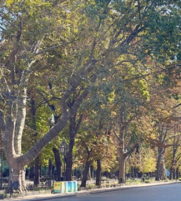 В Одесі для пішоходів відкриють Приморський бульвар