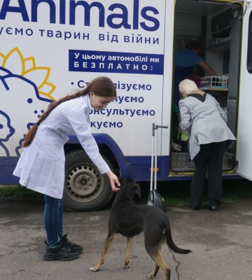 В Охтирці пройде безкоштовна стерилізація тварин