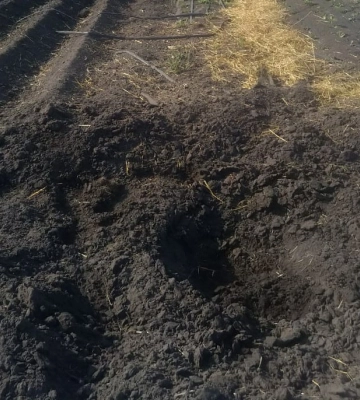 Протягом дня росіяни здійснили 8 обстрілів прикордоння Сумщини