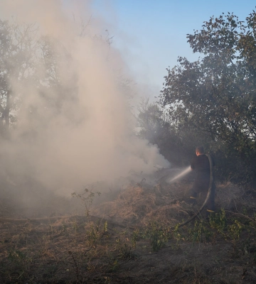 На Миколаївщині за вчора виникло 30 пожеж у природних екосистемах, дві з яких -  через бойові дії
