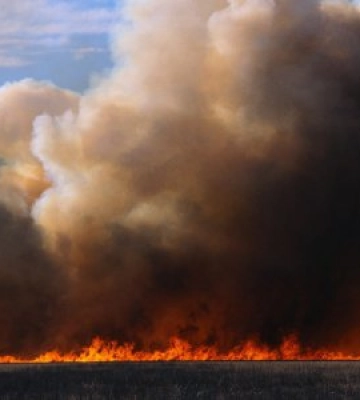 Просять не спалювати поля на Рівненщині