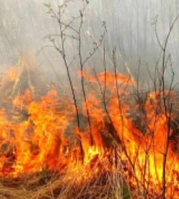 На Волині - високий рівень пожежної небезпеки