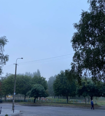 Сильні пориви вітру та невеликий дощ прогнозують на Рівненщині