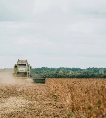 На Полтавщині завершуються збирання сої та соняшнику: місцеві аграрії обмолотили вже 385 тисяч гектарів