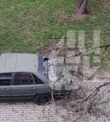 У Луцьку через шквальний вітер постраждав припаркований автомобіль