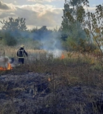 У Луцьку горіло сорок «соток» сухої трави