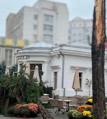 У Полтаві на відвідувачку кав&#039;ярні впало дерево