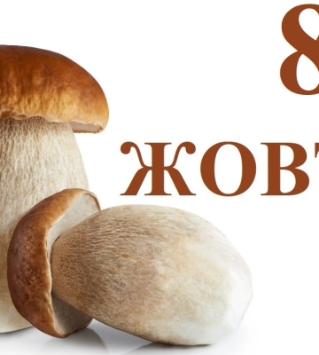 Сегодня 8 октября: какой праздник и день в истории