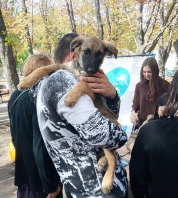 У Миколаєві пройшла благодійна виставка-прилаштування, з пошуку господарів для бездомних тварин