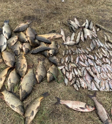 Штраф на майже 700 тисяч грн: на Вінниччині рибалки незаконно виловили 218 кг риби