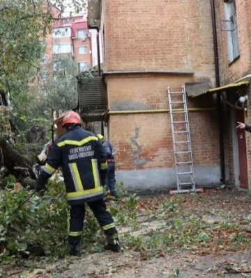 У Полтаві впало дерево на багатоквартирний будинок