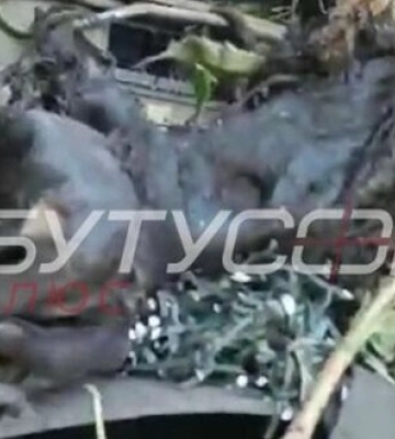 На Запорожье ВСУ за сутки уничтожили 4 российских танка – видео