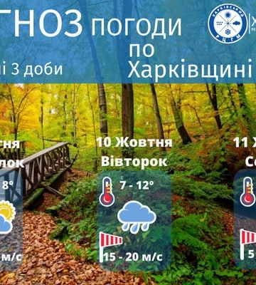Заморозки и дождь: прогноз погоды в Харькове и области на начало недели
