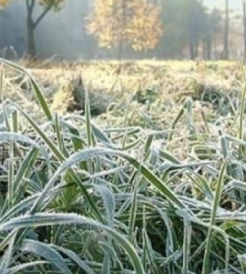 На Львівщині прогнозують перші заморозки та ожеледицю