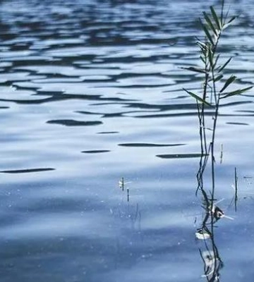 На Полтавщині з річки дістали тіло людини