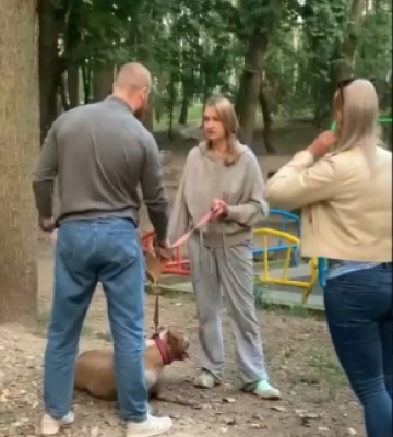 Стаффорд, який вчора ледь не загриз собаку у Чернівцях, систематично нападає на інших тварин