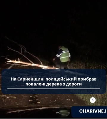 На Сарненщині поліцейський прибрав повалені дерева з дороги