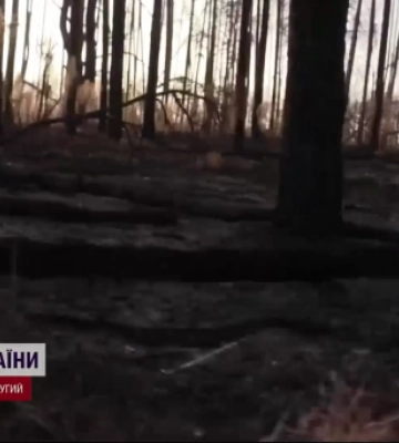 Понад 68 бойових зіткнень за добу: волинські воїни на Луганщині не дають противнику просунутися вперед