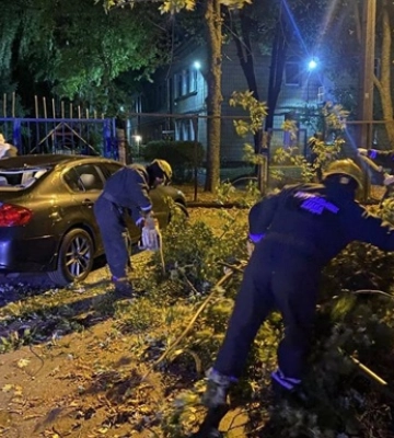 В Киеве ураганный ветер валил деревья