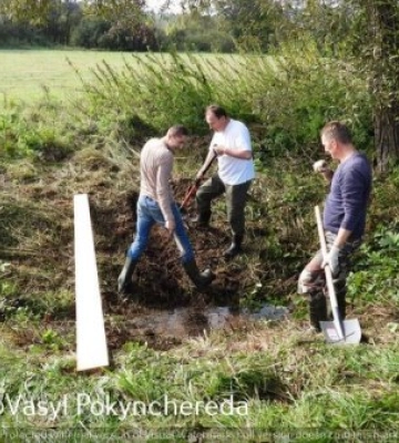 На Закарпатті  рятують Долину нарцисів