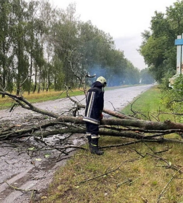 Майже 20 сіл без світла: у Малинській громаді негода наробила лиха Майже 20 сіл без світла: у Малинській громаді негода наробила лиха