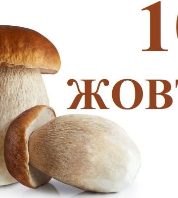 Сьогодні 10 жовтня: яке свято та день в історії