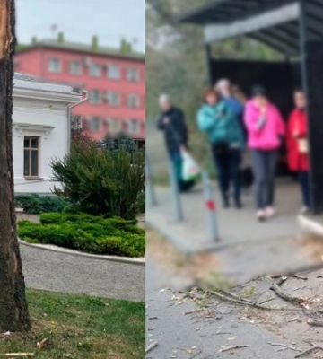 Падіння аварійних дерев у Полтаві: постраждалі отримають матеріальну допомогу