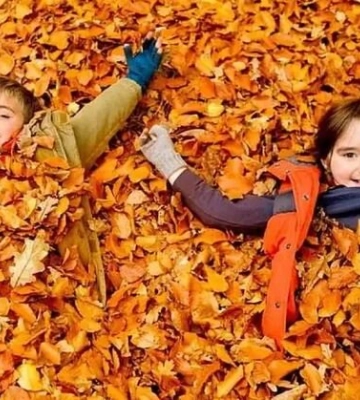 Коли у школярів Львівщини будуть осінні канікули
