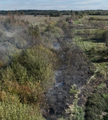 На Камінь-Каширщині горить торф&#039;яник: працюють рятувальники 